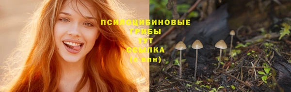 кокс Армянск