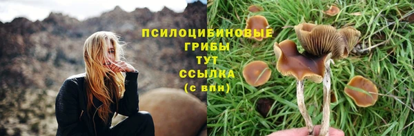 кокс Армянск