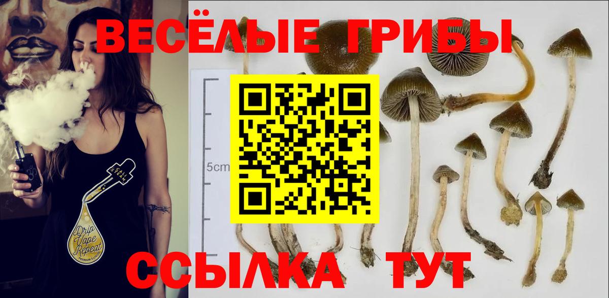 Псилоцибиновые грибы GOLDEN TEACHER Салават